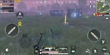 和平精英爆料最新模式,极限挑战，生死对决！